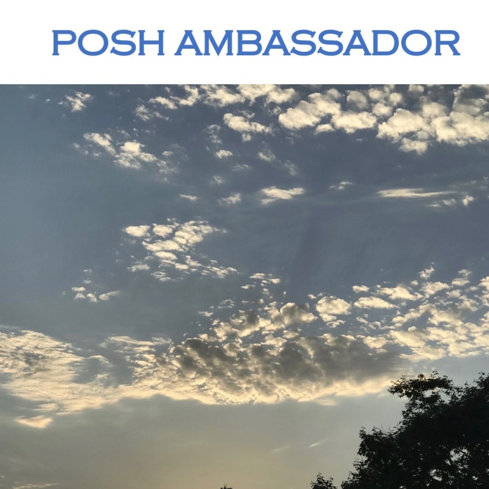 POSH AMBASSADOR